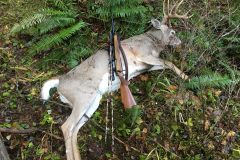 2015-Bruce-Call-buck-in-Idaho-scaled