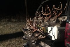 2017-Whitetails-scaled