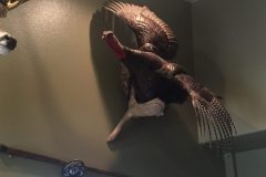Turkey-with-Call-scaled