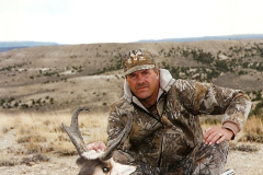 antelope1