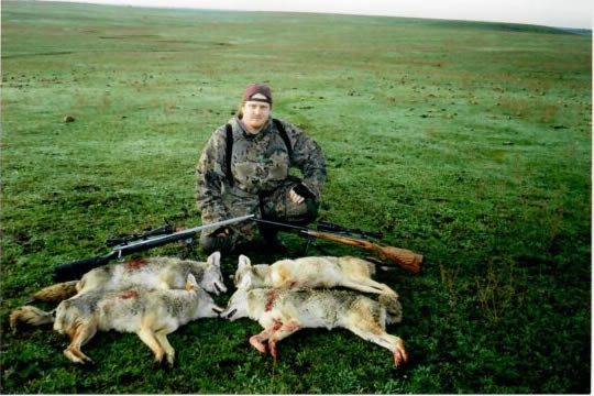 Coyotes called in · California