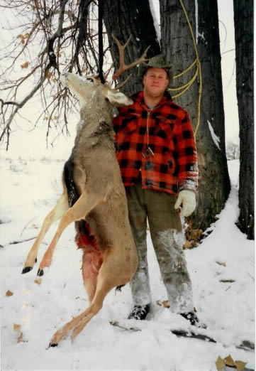 Mule deer buck · Washington