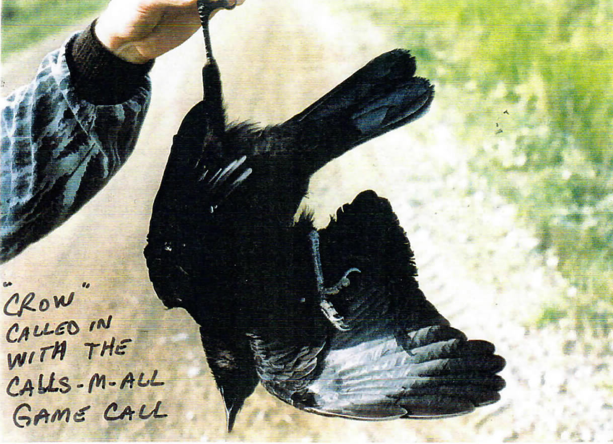 Crow called in with the Calls-M-All