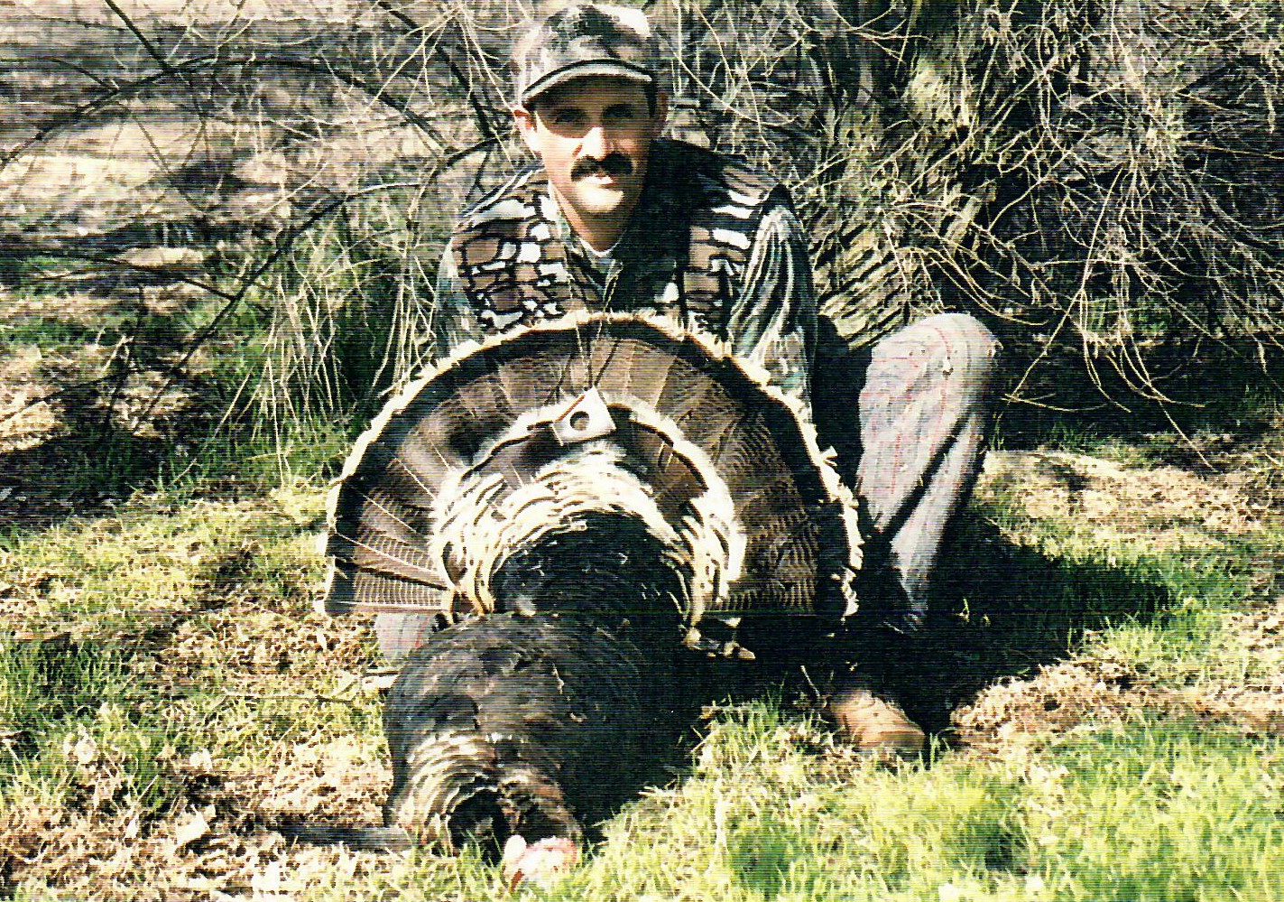 Rio Grande longbeard